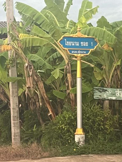 ขายที่ดินทำสวน สร้างบ้านพักตากอากาศ - รูปที่ 6