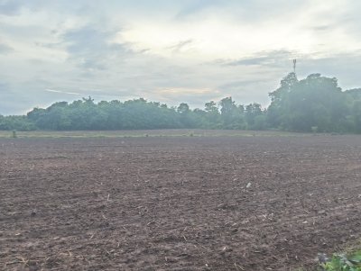 ขายที่ดินทำสวน สร้างบ้านพักตากอากาศ - รูปที่ 5