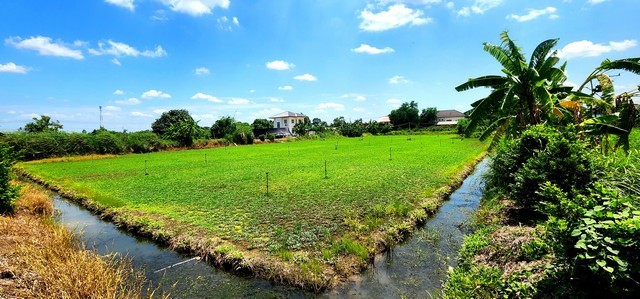 ขายที่ดินคลอง 12 หนองเสือ 1 ไร่ ติดถนน 2 ด้าน  เหมาะปลูกบ้านสวน ทำเกษตรพอเพียงได้ ทำโกดัง อยู่ใกล้แหล่งชุมชน