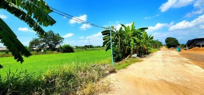 ขายที่ดินคลอง 12 หนองเสือ 1 ไร่ ติดถนน 2 ด้าน  เหมาะปลูกบ้านสวน ทำเกษตรพอเพียงได้ ทำโกดัง อยู่ใกล้แหล่งชุมชน - รูปที่ 3
