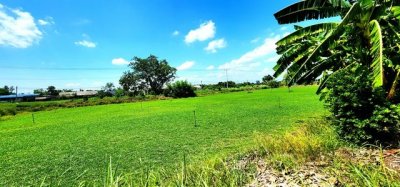 ขายที่ดินคลอง 12 หนองเสือ 1 ไร่ ติดถนน 2 ด้าน  เหมาะปลูกบ้านสวน ทำเกษตรพอเพียงได้ ทำโกดัง อยู่ใกล้แหล่งชุมชน - รูปที่ 8
