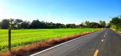 ขายที่ดินองครักษ์ นครนายก ใกล้อบตองครักษ์ ทำเลดี ติดถนนลาดยาง เหมาะซื้อไว้ปลูกบ้าน - รูปที่ 5