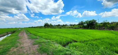 ขายที่ดิน คลอง23 องครักษ์ ขายต่ำกว่าราคาประเมินมาก ติดถนนลาดยาง 22 ไร่ เหมาะทำจัดสรรแบ่งแปลงขาย ทำเลดี - รูปที่ 6