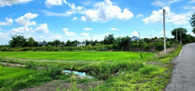 ขายที่ดิน คลอง23 องครักษ์ ขายต่ำกว่าราคาประเมินมาก ติดถนนลาดยาง 22 ไร่ เหมาะทำจัดสรรแบ่งแปลงขาย ทำเลดี - รูปที่ 2