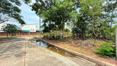ลดราคา ที่ดินถมแล้ว หมู่บ้าน ชัยพฤกษ์ วงแหวน - รัตนาธิเบศร์ ใกล้ MRT คลองบางไผ่ - รูปที่ 5