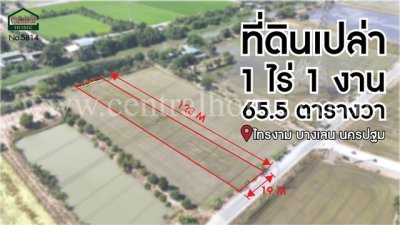 จองด่วน ที่ดินเปล่า 1-1-65.5 ไร่ ไทรงาม ถนนบางเลน นครปฐม ติดถนน - รูปที่ 2