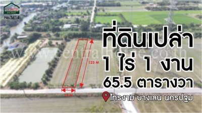 จองด่วน ที่ดินเปล่า 1-1-65.5 ไร่ ไทรงาม ถนนบางเลน นครปฐม ติดถนน - รูปที่ 5