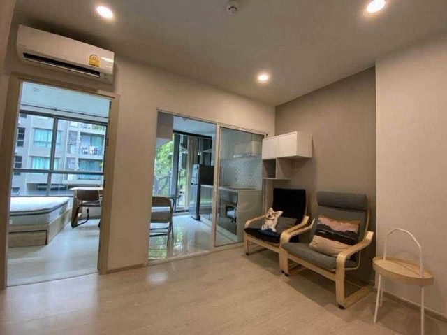 ขายคอนโดพร้อมผู้เช่า รับรายได้ต่อได้ทันที The Tree Sukhumvit 64 | ใกล้ BTS ปุณณวิถี