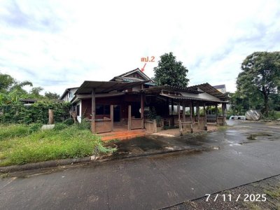 ขายโกดังเมืองเชียงใหม่ และสิ่งปลูกสร้างอื่นๆ รวมทั้งหมด 7 รายการ ถนน ต้นขาม 2 - รูปที่ 4