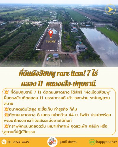 🏞️ ขายที่ดิน 7 ไร่ คลอง 11 หนองเสือ ปทุมธานี ผังสีชมพู 🏞️ หน้ากว้าง 44 ม. ติดถนนลาดยาง ใกล้วัดป่าคลอง 11 - รูปที่ 4