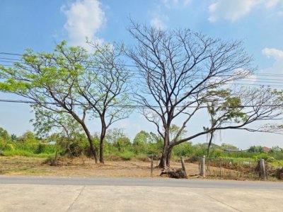 ประชาสำราญ ที่ดินถมแล้ว หนองจอก  มิตรไมตรี Makro เลียบวารี 1.84กม. 143 ตร.ว.  รร.ภัทรญาณวิทยา 600 ม.  ศูนย์ฝึกฟุตบอลแห่งชาติ 2.4 กม. - รูปที่ 7