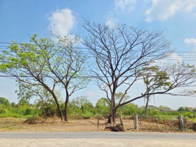 ประชาสำราญ ที่ดินถมแล้ว หนองจอก  มิตรไมตรี Makro เลียบวารี 1.84กม. 143 ตร.ว.  รร.ภัทรญาณวิทยา 600 ม.  ศูนย์ฝึกฟุตบอลแห่งชาติ 2.4 กม. - รูปที่ 6