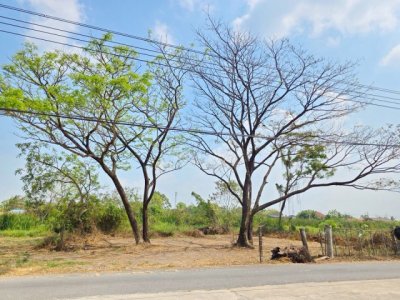 ประชาสำราญ ที่ดินถมแล้ว หนองจอก  มิตรไมตรี Makro เลียบวารี 1.84กม. 143 ตร.ว.  รร.ภัทรญาณวิทยา 600 ม.  ศูนย์ฝึกฟุตบอลแห่งชาติ 2.4 กม. - รูปที่ 5