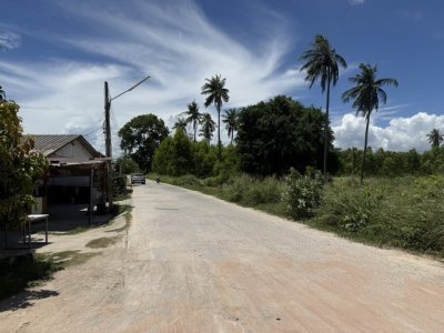ขายที่ดิน 5 ไร่ 41 ตร.วา โรงโป๊ะ – ตะเคียนเตี้ย ตำบลตะเคียนเตี้ย อำเภอบางละมุง ชลบุรี - รูปที่ 5