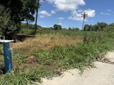 ขายที่ดิน 5 ไร่ 41 ตร.วา โรงโป๊ะ – ตะเคียนเตี้ย ตำบลตะเคียนเตี้ย อำเภอบางละมุง ชลบุรี - รูปที่ 3