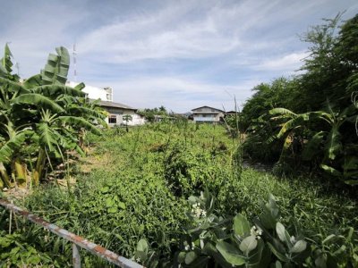 ขาย ที่ดินติดถนน 401วา ทำเลทวีวัฒนา ใกล้กาญจนาภิเษก – พุทธมณฑลสาย 3 - รูปที่ 3