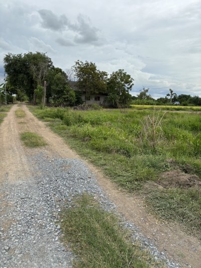 ขายที่ดินถมแล้ว เจ้าของขายเอง  ทำเลดีติดถนนซอย 2 ฝั่ง พระนครศรีอยุธยา - รูปที่ 2