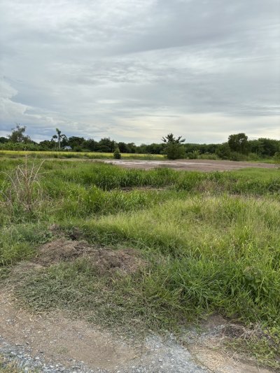 ขายที่ดินถมแล้ว เจ้าของขายเอง  ทำเลดีติดถนนซอย 2 ฝั่ง พระนครศรีอยุธยา - รูปที่ 8