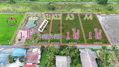 ที่ดิน แนวบ้านสวนวิวนา ราคาเบาสดผ่อนได้ ใกล้วัดป่าคลอง11 Tel 062-1574449 - รูปที่ 8