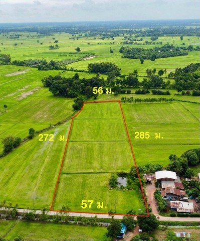 ขายที่ดิน พิจิตร ,สากเหล็ก ,หนองหญ้าไทร  พื้นที่ 10-1-96  ตารางวา - รูปที่ 2