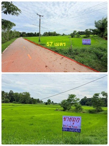 ขายที่ดิน พิจิตร ,สากเหล็ก ,หนองหญ้าไทร  พื้นที่ 10-1-96  ตารางวา - รูปที่ 4