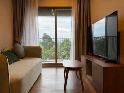 ให้เช่า 22,000 บาท/เดือน #MekinHaus Condo ห้อง #วิวดอยสุเทพ ใกล้ #CentralFestival #เฟอร์นิเจอร์และเครื่องใช้ไฟฟ้าครบ พร้อมเข้าอยู่ - รูปที่ 8
