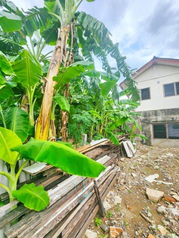 BTSพหลโยธิน59 1.5กม. CJ MORE  40ตร.ว. 100ตร.ม.ให้เช่า บ้านพร้อมที่ดิน 1นอน 0น้ำ พหลโยธิน 44-50 BTSสายหยุด 1.5 กม. - รูปที่ 6