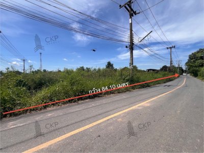ขาย/เช่า ที่ดินเปล่า ติดถ.สุวรรณศร อ.วิหารแดง ไม่ไกลจากตัวเมืองสระบุรี - รูปที่ 5