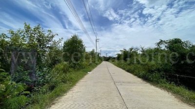 ที่ดินเปล่า ต.หินกอง อ.เมืองราชบุรี 5 ไร่ ที่ดินสวยหน้ากว้างเข้าซอยเพียง 900 เมตร - รูปที่ 6