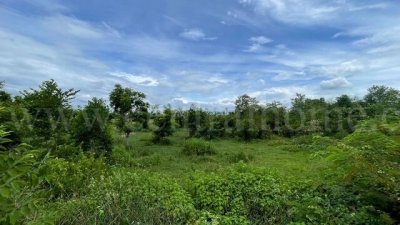 ที่ดินเปล่า ต.หินกอง อ.เมืองราชบุรี 5 ไร่ ที่ดินสวยหน้ากว้างเข้าซอยเพียง 900 เมตร - รูปที่ 3