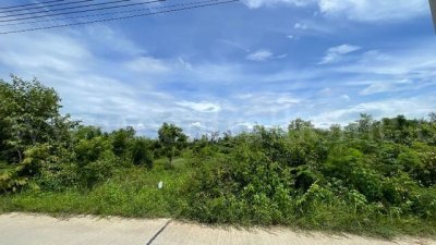 ที่ดินเปล่า ต.หินกอง อ.เมืองราชบุรี 5 ไร่ ที่ดินสวยหน้ากว้างเข้าซอยเพียง 900 เมตร - รูปที่ 8