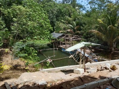 ขายถูกมาก ผ่อนตรงได้!! ที่ดินวิวภูเขา มีให้เลือกหลายแปลง 70 - 610 ตรว. อ.ท้ายเหมือง พังงา ใกล้ทะเล น้ำตกฯ - รูปที่ 3