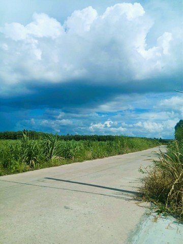 ขาย ที่ดิน หินเหล็กไฟ,หัวหิน 2 ไร่ จังหวัด ประจวบคีรีขันธ์ - รูปที่ 2