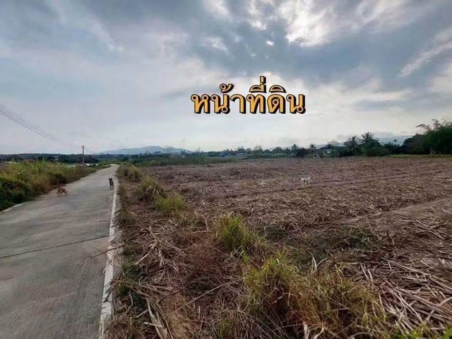 ขายที่ดิน แปลงสวย 6 ไร่ ทำเลทอง เขตพัฒนาเมือง บ้านบึง ชลบุรี