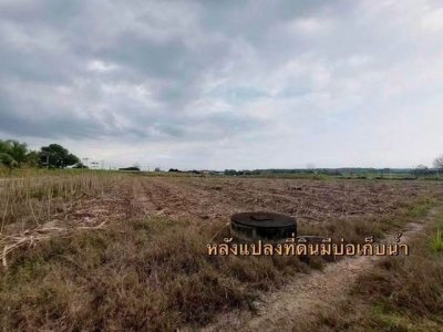 ขายที่ดิน แปลงสวย 6 ไร่ ทำเลทอง เขตพัฒนาเมือง บ้านบึง ชลบุรี - รูปที่ 3