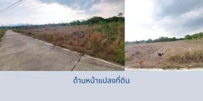 ขายที่ดิน แปลงสวย 6 ไร่ ทำเลทอง เขตพัฒนาเมือง บ้านบึง ชลบุรี - รูปที่ 8