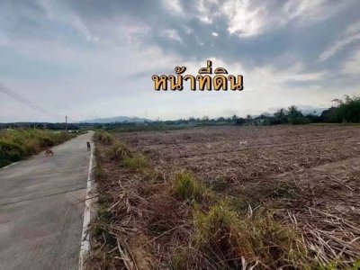 ขายที่ดิน แปลงสวย 6 ไร่ ทำเลทอง เขตพัฒนาเมือง บ้านบึง ชลบุรี