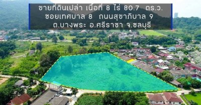 ขายที่ดินบางพระ 8 ไร่ 80 ตร.ว. แบ่งขายได้ บางพระ ชลบุรี - รูปที่ 2