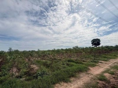 ขายที่ดิน 10-3-5 ไร่ พื้นที่สีเหลือง หนองอิรุณ บ้านบึง ชลบุรี - รูปที่ 4