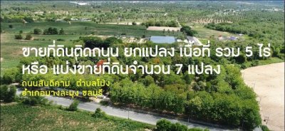 ขายที่ดิน ครุฑแดง(เขาไม้แก้ว) สามารถแบ่งขายได้ บางละมุง ชลบุรี - รูปที่ 8