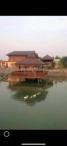 ขายบ้าน 3 หลังพร้อมที่ดิน อำเภอคลองหลวง จังหวัดปทุมธานีเนื้อที่ 2 ไร่ - รูปที่ 6