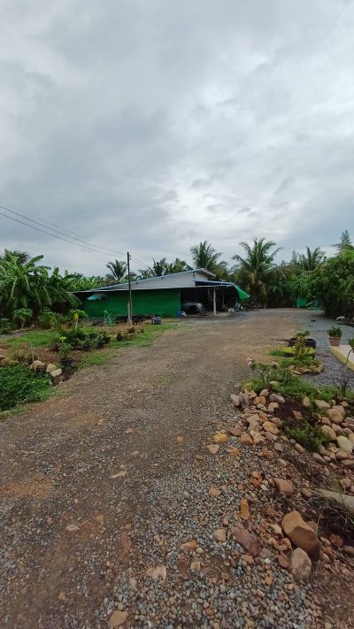 ขายบ้านสวนพร้อมที่ดิน ทำเลดี อำเภอกุยบุรี จังหวัดประจวบคีรีขันธ์ - รูปที่ 5