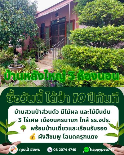 🏡 ขายบ้านสวนพร้อมที่ดิน 3 ไร่ 1 งาน 9 ตร.วา พร้อมบ้าน สวนผลไม้ และสระน้ำ | ผังเมืองสีชมพู | ต.พรหมณี อ.เมืองนครนายก - รูปที่ 7