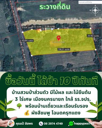 🏡 ขายบ้านสวนพร้อมที่ดิน 3 ไร่ 1 งาน 9 ตร.วา พร้อมบ้าน สวนผลไม้ และสระน้ำ | ผังเมืองสีชมพู | ต.พรหมณี อ.เมืองนครนายก - รูปที่ 8