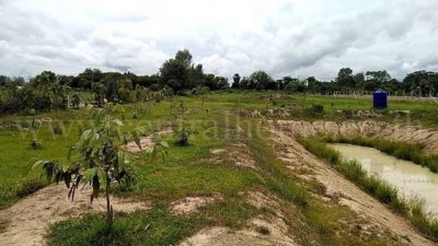 ราคาพิเศษ ที่ดินเปล่า 10-3-36 ไร่ ท่าม่วง กาญจนบุรี ทำเลดี ราคาถูก - รูปที่ 7