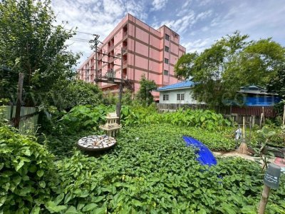ลดราคาด่วน ที่ดินเปล่า 59 ตร.วา ซอยพิบูลสงคราม 22 - ซอยวัดกำแพง ราคาถูก - รูปที่ 6