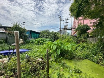 ลดราคาด่วน ที่ดินเปล่า 59 ตร.วา ซอยพิบูลสงคราม 22 - ซอยวัดกำแพง ราคาถูก - รูปที่ 5