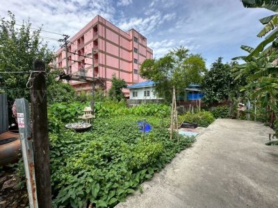 ลดราคาด่วน ที่ดินเปล่า 59 ตร.วา ซอยพิบูลสงคราม 22 - ซอยวัดกำแพง ราคาถูก - รูปที่ 3