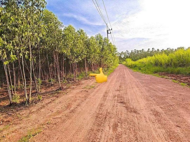 ทรัพย์ A+ ขายด่วน ที่ดิน 17 ไร่ ที่ตั้ง กบินทร์บุรี ปราจีนบุรี