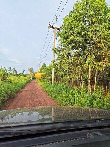 ทรัพย์ A+ ขายด่วน ที่ดิน 17 ไร่ ที่ตั้ง กบินทร์บุรี ปราจีนบุรี - รูปที่ 3